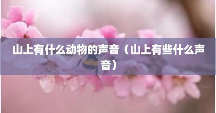 山上有什么动物的声音（山上有些什么声音）