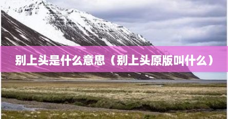 别上头是什么意思（别上头原版叫什么）