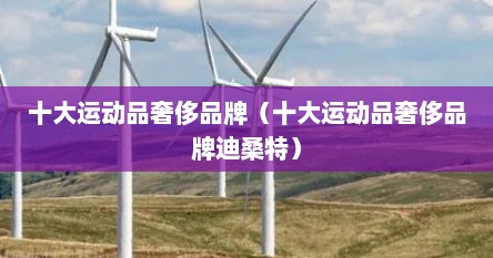 十大运动品奢侈品牌（十大运动品奢侈品牌迪桑特）