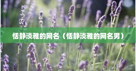 恬静淡雅的网名（恬静淡雅的网名男）