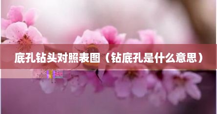 底孔钻头对照表图（钻底孔是什么意思）