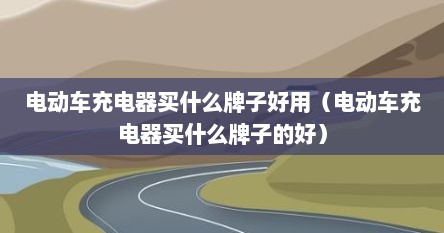 电动车充电器买什么牌子好用（电动车充电器买什么牌子的好）