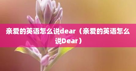 亲爱的英语怎么说dear(亲爱的英语怎么说Dear) 亲爱的英语怎么说dear(亲爱的英语怎么说Dear)