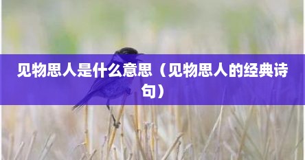 见物思人是什么意思（见物思人的经典诗句）