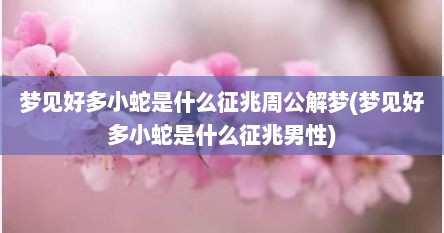 梦见好多小蛇是什么征兆周公解梦(梦见好多小蛇是什么征兆男性)