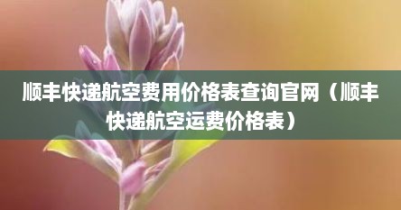 顺丰快递航空费用价格表查询官网（顺丰快递航空运费价格表）