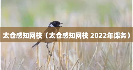 太仓感知网校（太仓感知网校 2022年课务）