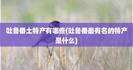 吐鲁番土特产有哪些(吐鲁番最有名的特产是什么)