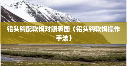 铅头钩配软饵对照表图（铅头钩软饵操作手法）