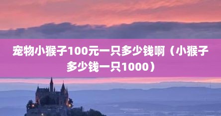 宠物小猴子100元一只多少钱啊（小猴子多少钱一只1000）