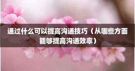 通过什么可以提高沟通技巧（从哪些方面能够提高沟通效率）