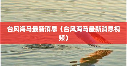 台风海马最新消息（台风海马最新消息视频）