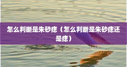 怎么判断是朱砂痣（怎么判断是朱砂痣还是痣）