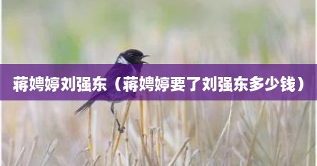 蒋聘婷刘强东事件（将聘婷和刘强东）