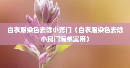 白衣服染色去除小窍门（白衣服染色去除小窍门简单实用）