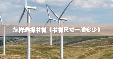 怎样选择书脊（书脊尺寸一般多少）