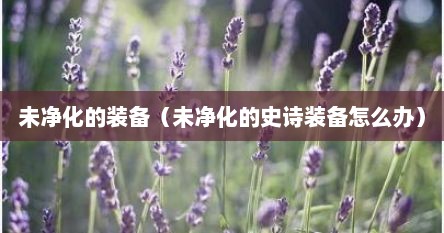 未净化的装备（未净化的史诗装备怎么办）