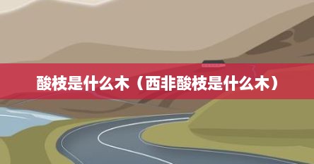 酸枝是什么木（西非酸枝是什么木）