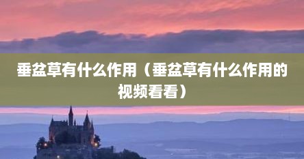 垂盆草有什么作用（垂盆草有什么作用的视频看看）
