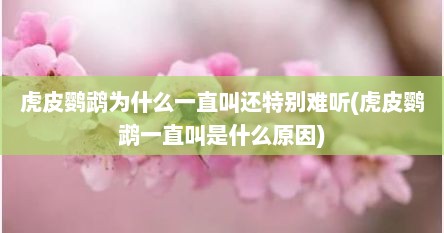 虎皮鹦鹉为什么一直叫还特别难听(虎皮鹦鹉一直叫是什么原因)