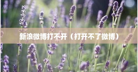 新浪微博打不开（打开不了微博）
