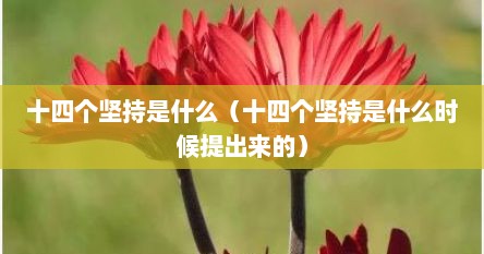 十四个坚持是什么（十四个坚持是什么时候提出来的）