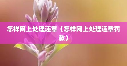 怎样网上处理违章（怎样网上处理违章罚款）