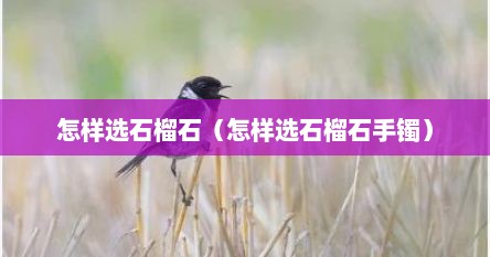 怎样选石榴石（怎样选石榴石手镯）