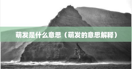 萌发是什么意思（萌发的意思解释）