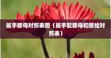 扳手螺母对照表图（扳手配螺母和螺栓对照表）