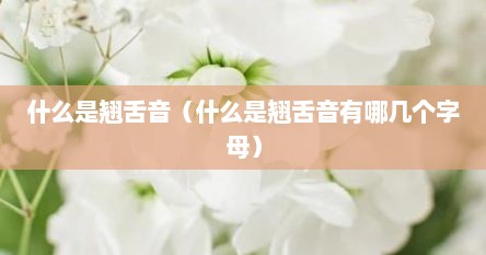 什么是翘舌音（什么是翘舌音有哪几个字母）