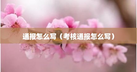 通报怎么写（考核通报怎么写）