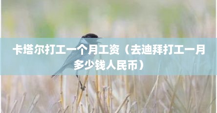 卡塔尔打工一个月工资（去迪拜打工一月多少钱人民币）