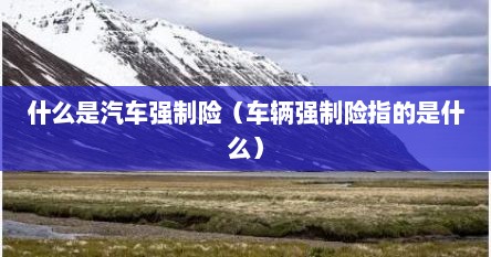 什么是汽车强制险（车辆强制险指的是什么）