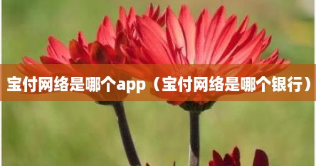 宝付网络是哪个app（宝付网络是哪个银行）