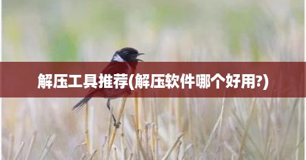 解压工具推荐(解压软件哪个好用?)