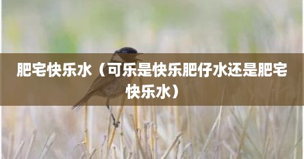 肥宅快乐水（可乐是快乐肥仔水还是肥宅快乐水）