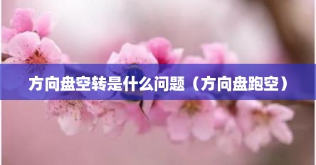 方向盘空转是什么问题（方向盘跑空）