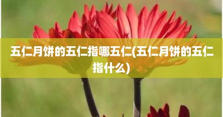 五仁月饼的五仁指哪五仁(五仁月饼的五仁指什么)
