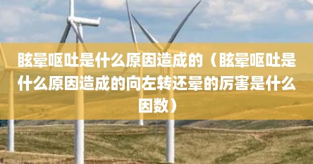 眩晕呕吐是什么原因造成的（眩晕呕吐是什么原因造成的向左转还晕的厉害是什么因数）