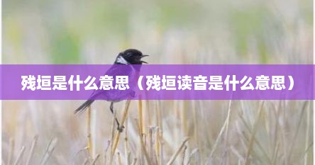 残垣是什么意思（残垣读音是什么意思）