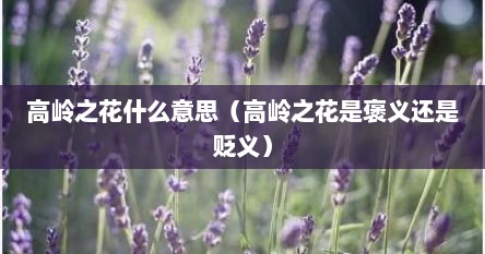 高岭之花什么意思（高岭之花是褒义还是贬义）