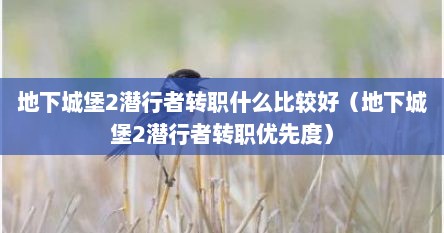潜行者2地堡怎么出去（地下城堡2潜行者属性哪个好）