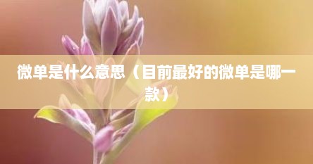 微单是什么意思（目前最好的微单是哪一款）