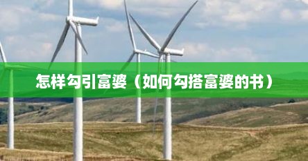 怎样勾引富婆（如何勾搭富婆的书）