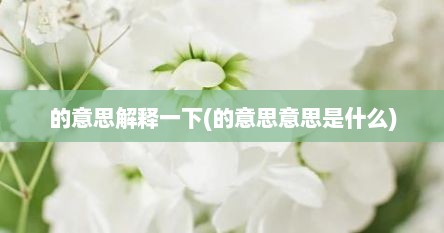 的意思解释一下(的意思意思是什么)