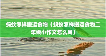 蚂蚁怎样搬运食物（蚂蚁怎样搬运食物二年级小作文怎么写）