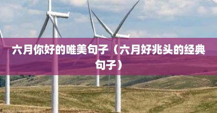 六月你好的唯美句子（六月好兆头的经典句子）
