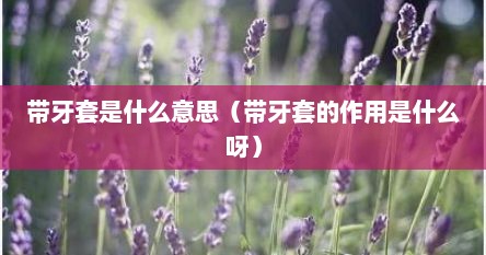 带牙套是什么意思（带牙套的作用是什么呀）