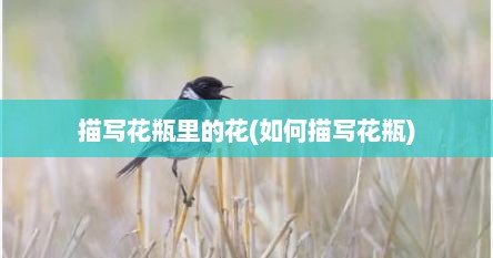 描写花瓶里的花(如何描写花瓶)